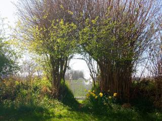 Cottage, Steam - Damp - 6