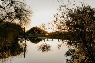 Decollage Estate - Polokwane - 4