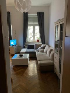 Apartment Cozy - Zagabria - 9