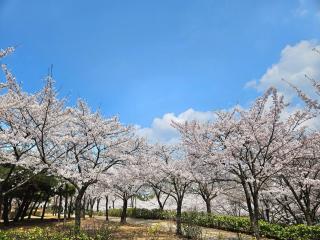 #Hongdae#Best, Latest House #Family#Friends#Terrace#Yeontrural Park - Seul - 7