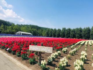Adagio Hokkaido - 8