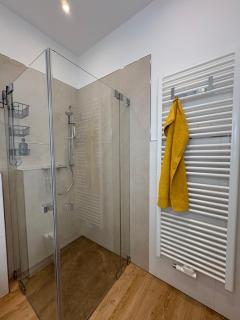 FEWO 1 Landeskrone Dresden - 2