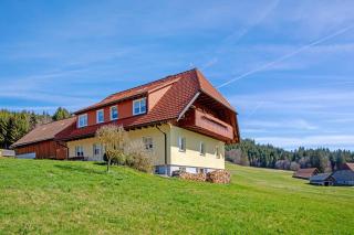 Hanisenhof - Titisee-Neustadt - 0