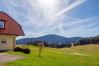 Hanisenhof - Titisee-Neustadt - 7