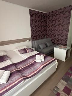 Sarajevo Central Apartmani - 1
