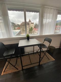 Apartament Relax Sinaia - Sinaia - 9