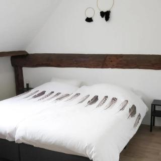 Hoeve de Peel - Erica - 9