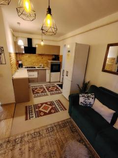 Charm 2 Palas Apartment - Iaşi - 1