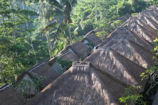 Tejaprana Resort & Spa - Ubud - 0