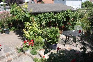 Ferienwohnung Burger - Sasbach am Kaiserstuhl - 2