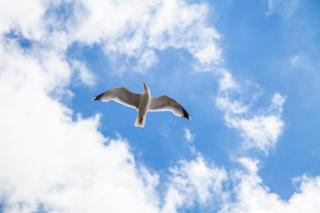 Urban 2 Bedroom Flat Next to Brighton Station - Brighton & Hove - 2