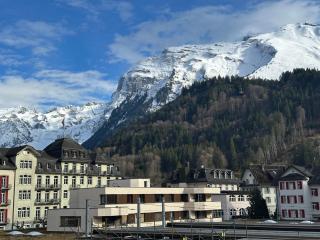Zentrales 2,5-Zimmer Apartment mit mega Bergblick - 1