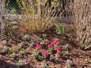 Ferienwohnung Susanne - 1