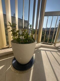 Cannes Centre 1 bedroom et sofa - Cannes - 3