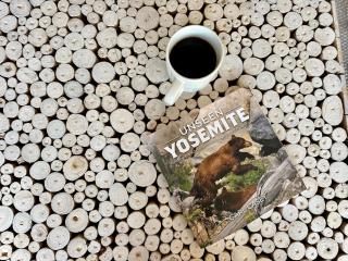 Yosemite Adventure by Casa Oso - Oakhurst - 8