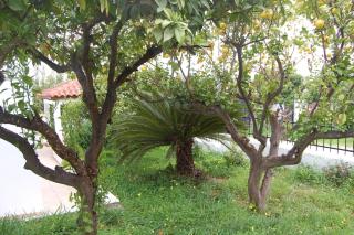 Casa de Alegria - Eretria - 4