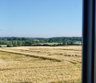 Meierhus FeWo "kleines Nest" - - 3
