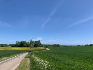 Meierhus FeWo "kleines Nest" - - 1