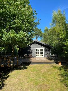 Fine Details In Forest Setting In Ebeltoft - Ebeltoft - 9