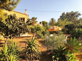 Villa Alfaz - L'Alfàs del Pi - 7