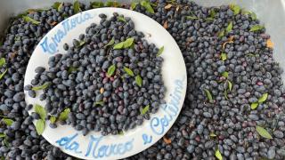 Da Marco&Caterina - 2