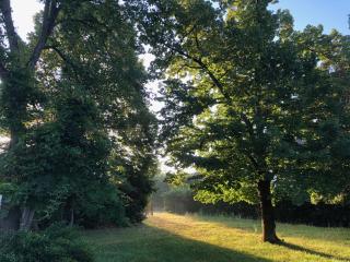Périgourdine avec piscine, nature & bastides - Faux - 9