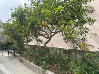 La Casa del Cedro a Teulada 8 - Teulada - 7