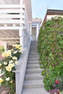 Apartments by the sea Vir - 21836 - Vir - 5
