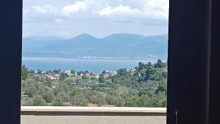Arsinoi Villa Oropos - Oropos - 9
