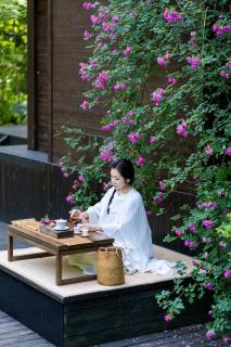 Qingcheng Mountain Zuowang Forest Healing Hotel - Zhongxing - 6