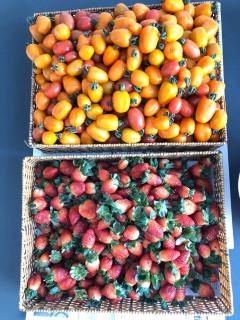 Vườn Nhà Đan Homestay - Dalat - 6