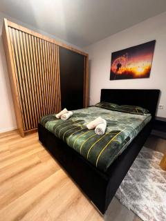 Sunrise apartment - Baia Mare - 0