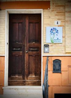 Agapanthus - Offida - 8