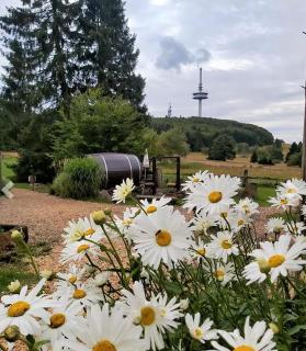 Taufsteinhütte - Schotten - 9