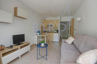 Comfortable studio terrace and private garden - Cannes - 4