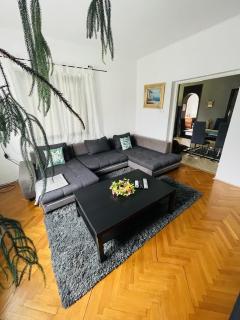 LakePark Garden Villa with swimming pool & park - Bekecs - 9