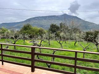 La villa du Paradis - Terracina - 6