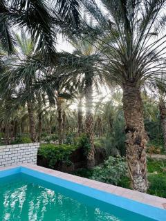 Dar Zina - Tozeur - 4