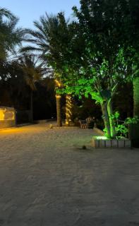 Dar Zina - Tozeur - 2