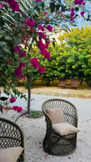 Neem Luxury Villa - 6