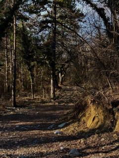 Chambre hotes avec vue panoramique sur la foret - Digne-Les-Bains - 1