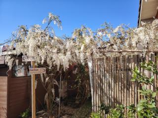 Guesthouse La Pépinière - 4