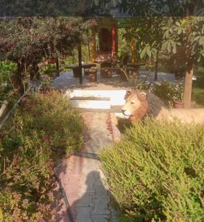 Aranya Bliss - Gandhinagar - 6