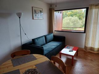 Appartement près Bernard - Xonrupt-Longemer - 3