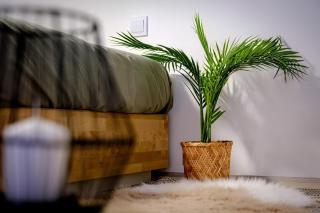 Cosy Major Retreat - Budapest - 8