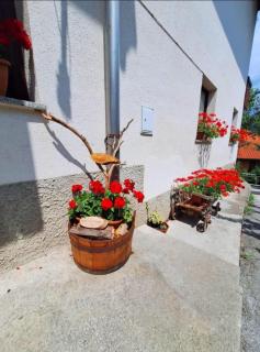 Pr' Hribar - Zgornje Gorje - 4