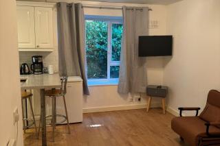Studio Close to Excel Centre - Londra - 6