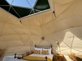 Star Gazing Dome no 2 - Horspath - 5