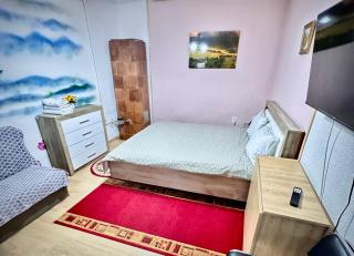 Casa Ming - Brasov - 8