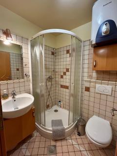 Apartment Crystal Rose - Kranjska Gora - 8